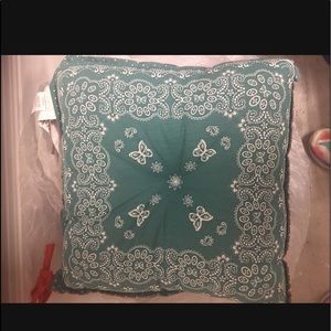 Set of 4 Pioneer Woman seat cushions